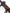 Katana Dragon Current Sanmai Blade Seiryū Koshirae 龍瀞 - SwordSmith Australia