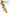 Katana Mitsuba Aoi Radiance Kobuse Blade Kin - aoi Koshirae 葵耀 - SwordSmith Australia
