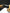 Katana Tiger Bamboo Oroshigane Kobuse Blade Torachiku Koshirae 虎竹 - SwordSmith Australia