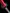 Katana Blossom Flame Maru Blade Beni - Zakura Koshirae 焰樱 - SwordSmith Australia