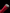 Katana Blossom Flame Maru Blade Beni - Zakura Koshirae 焰樱 - SwordSmith Australia