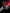 Katana Blossom Flame Maru Blade Beni - Zakura Koshirae 焰樱 - SwordSmith Australia