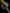 Katana Dragon Roar Kobuse Blade Ryūha Koshirae 龍吟 - SwordSmith Australia