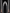 Katana Moonlit Orchid Maru Blade Radenhana Koshirae 月華蘭 - SwordSmith Australia