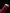 Katana Vermilion Bloom Maru Blade Beni - Zakura Koshirae 花綻 - SwordSmith Australia