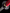 Katana Vermilion Bloom Maru Blade Beni - Zakura Koshirae 花綻 - SwordSmith Australia