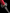 Katana Vermilion Bloom Maru Blade Beni - Zakura Koshirae 花綻 - SwordSmith Australia